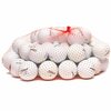 Titleist Lakeballs 25