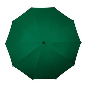 Falcone Storm Paraplu Groen