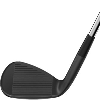 Wilson Infinite Wedges Staal