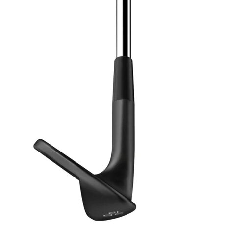 Wilson Infinite Wedges Staal